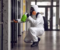 Reliable Hondo, TX Mold Inspection Solutions